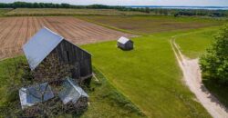 Michigan Land & Orchard For Sale w/ Winery or Cidery Potential – SOLD