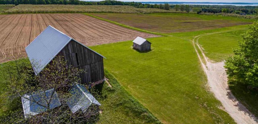 Michigan Land & Orchard For Sale w/ Winery or Cidery Potential – SOLD