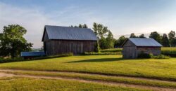 Michigan Land & Orchard For Sale w/ Winery or Cidery Potential – SOLD