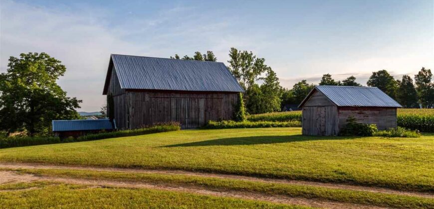 Michigan Land & Orchard For Sale w/ Winery or Cidery Potential – SOLD