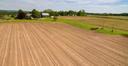 Michigan Land & Orchard For Sale w/ Winery or Cidery Potential – SOLD