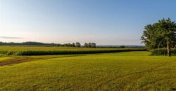Michigan Land & Orchard For Sale w/ Winery or Cidery Potential – SOLD