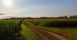 Michigan Land & Orchard For Sale w/ Winery or Cidery Potential – SOLD
