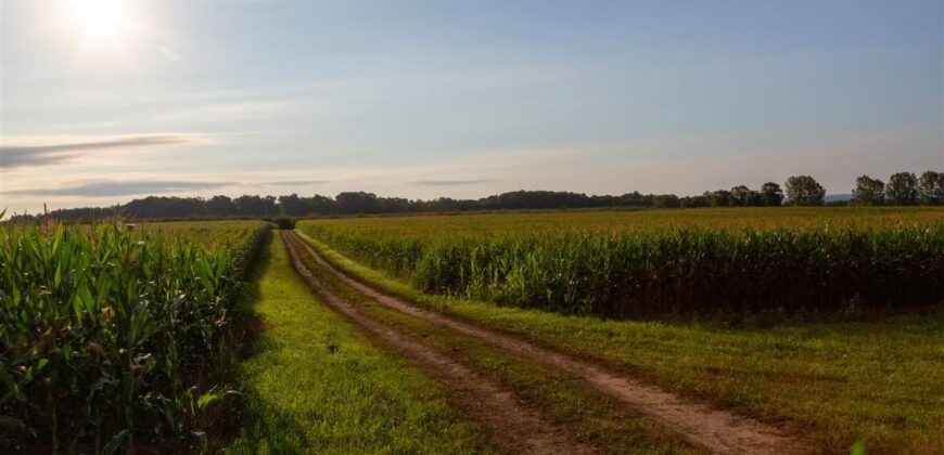 Michigan Land & Orchard For Sale w/ Winery or Cidery Potential – SOLD