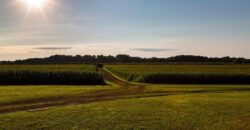 Michigan Land & Orchard For Sale w/ Winery or Cidery Potential – SOLD