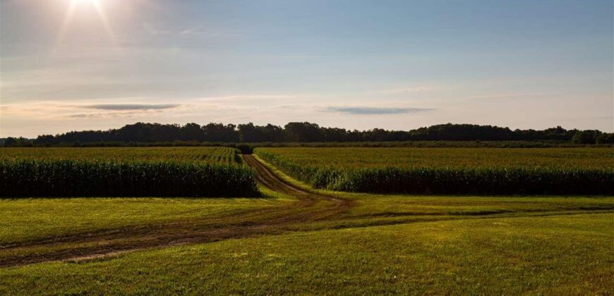 Michigan Land & Orchard For Sale w/ Winery or Cidery Potential – SOLD