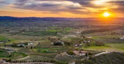 Paso Robles Luxury Home For Sale w/ Guest House & Olive Grove – SOLD