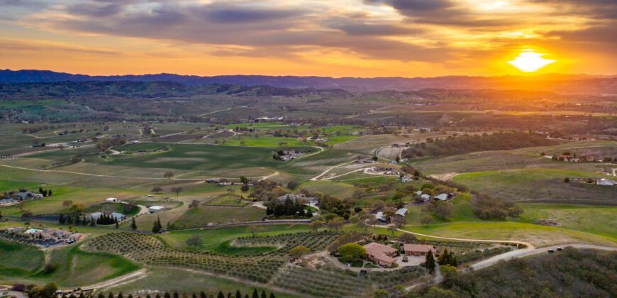 Paso Robles Luxury Home For Sale w/ Guest House & Olive Grove – SOLD