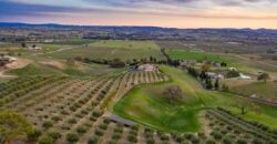 Paso Robles Luxury Home For Sale w/ Guest House & Olive Grove – SOLD
