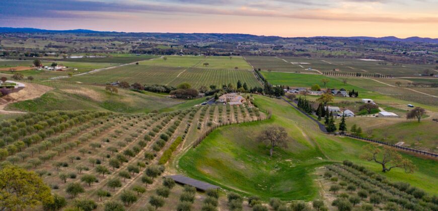 Paso Robles Luxury Home For Sale w/ Guest House & Olive Grove – SOLD