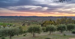 Paso Robles Luxury Home For Sale w/ Guest House & Olive Grove – SOLD