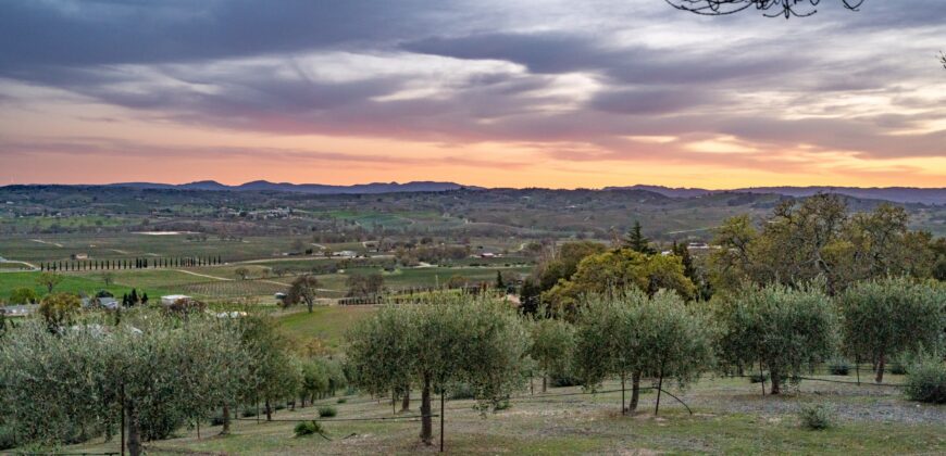 Paso Robles Luxury Home For Sale w/ Guest House & Olive Grove – SOLD