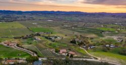 Paso Robles Luxury Home For Sale w/ Guest House & Olive Grove – SOLD