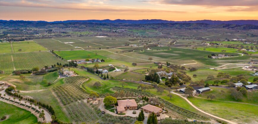Paso Robles Luxury Home For Sale w/ Guest House & Olive Grove – SOLD