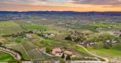 Paso Robles Luxury Home For Sale w/ Guest House & Olive Grove – SOLD