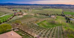 Paso Robles Luxury Home For Sale w/ Guest House & Olive Grove – SOLD