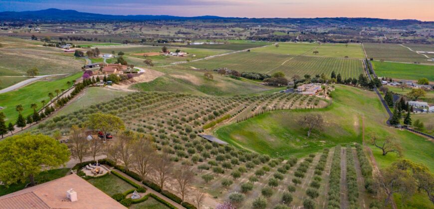 Paso Robles Luxury Home For Sale w/ Guest House & Olive Grove – SOLD