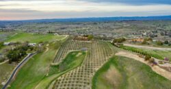 Paso Robles Luxury Home For Sale w/ Guest House & Olive Grove – SOLD
