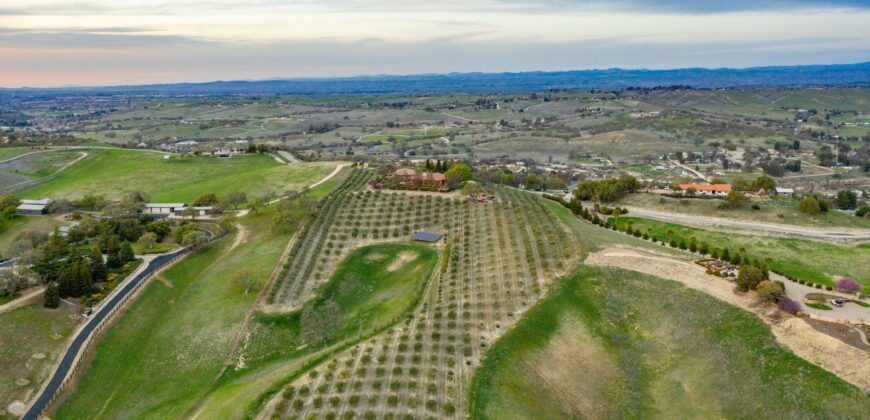 Paso Robles Luxury Home For Sale w/ Guest House & Olive Grove – SOLD