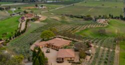 Paso Robles Luxury Home For Sale w/ Guest House & Olive Grove – SOLD