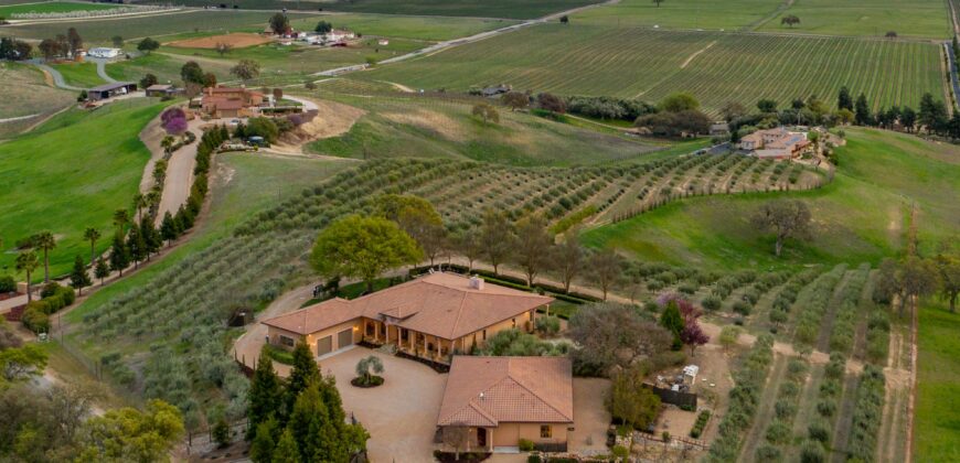 Paso Robles Luxury Home For Sale w/ Guest House & Olive Grove – SOLD