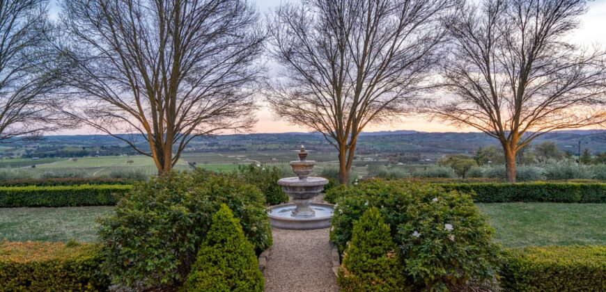 Paso Robles Luxury Home For Sale w/ Guest House & Olive Grove – SOLD