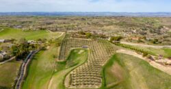 Paso Robles Luxury Home For Sale w/ Guest House & Olive Grove – SOLD