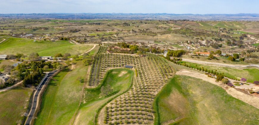 Paso Robles Luxury Home For Sale w/ Guest House & Olive Grove – SOLD
