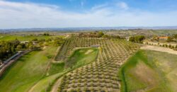 Paso Robles Luxury Home For Sale w/ Guest House & Olive Grove – SOLD