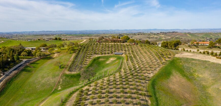Paso Robles Luxury Home For Sale w/ Guest House & Olive Grove – SOLD
