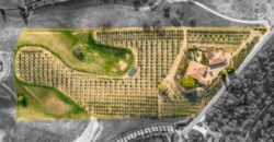 Paso Robles Luxury Home For Sale w/ Guest House & Olive Grove – SOLD