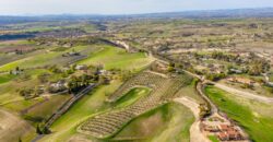 Paso Robles Luxury Home For Sale w/ Guest House & Olive Grove – SOLD