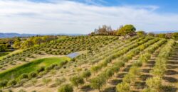 Paso Robles Luxury Home For Sale w/ Guest House & Olive Grove – SOLD