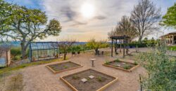 Paso Robles Luxury Home For Sale w/ Guest House & Olive Grove – SOLD