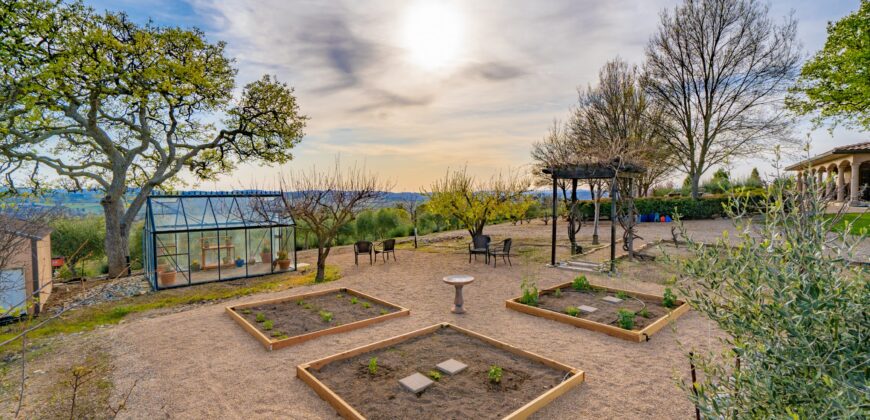 Paso Robles Luxury Home For Sale w/ Guest House & Olive Grove – SOLD
