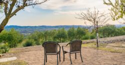 Paso Robles Luxury Home For Sale w/ Guest House & Olive Grove – SOLD