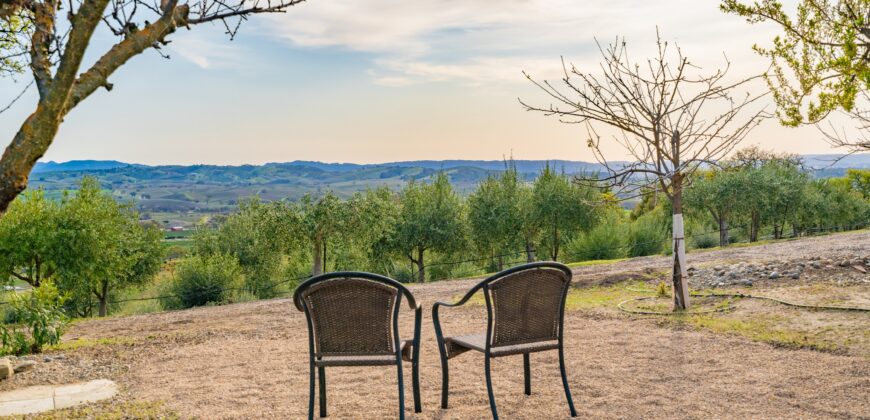 Paso Robles Luxury Home For Sale w/ Guest House & Olive Grove – SOLD