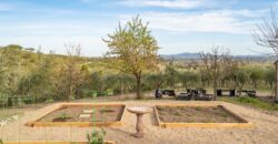 Paso Robles Luxury Home For Sale w/ Guest House & Olive Grove – SOLD
