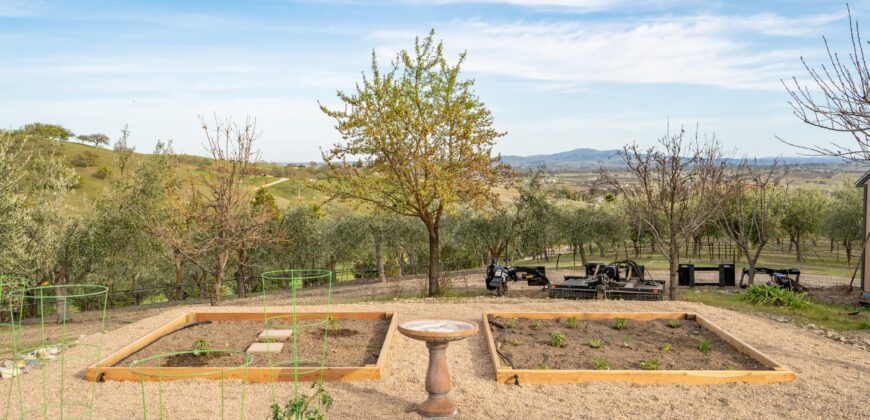 Paso Robles Luxury Home For Sale w/ Guest House & Olive Grove – SOLD