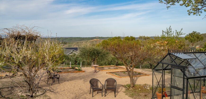 Paso Robles Luxury Home For Sale w/ Guest House & Olive Grove – SOLD