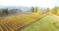 Vancouver Island Winery & Vineyard For Sale – SOLD