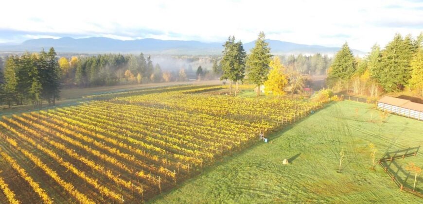 Vancouver Island Winery & Vineyard For Sale – SOLD