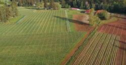 Vancouver Island Winery & Vineyard For Sale – SOLD