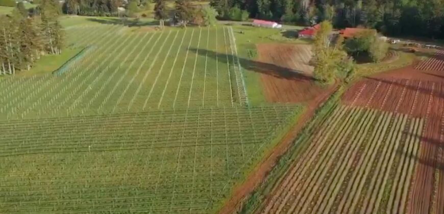Vancouver Island Winery & Vineyard For Sale – SOLD