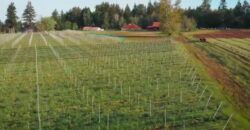 Vancouver Island Winery & Vineyard For Sale – SOLD