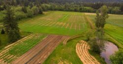 Vancouver Island Winery & Vineyard For Sale – SOLD