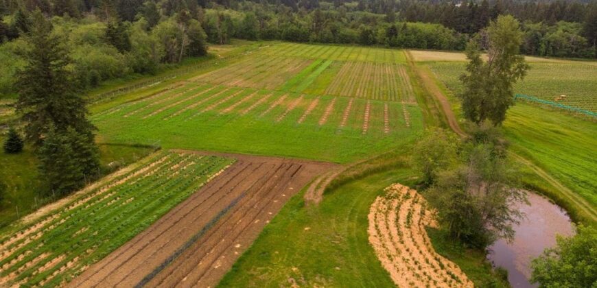 Vancouver Island Winery & Vineyard For Sale – SOLD