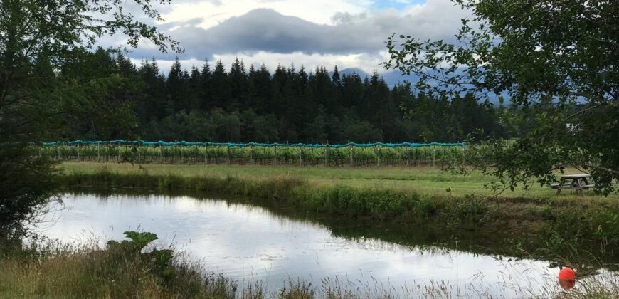 Vancouver Island Winery & Vineyard For Sale – SOLD