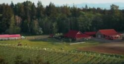Vancouver Island Winery & Vineyard For Sale – SOLD