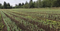 Vancouver Island Winery & Vineyard For Sale – SOLD